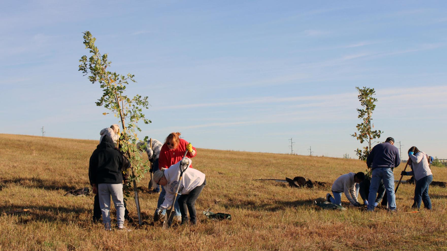 Nonprofit plants 200 trees in Papillion for fallen heroes